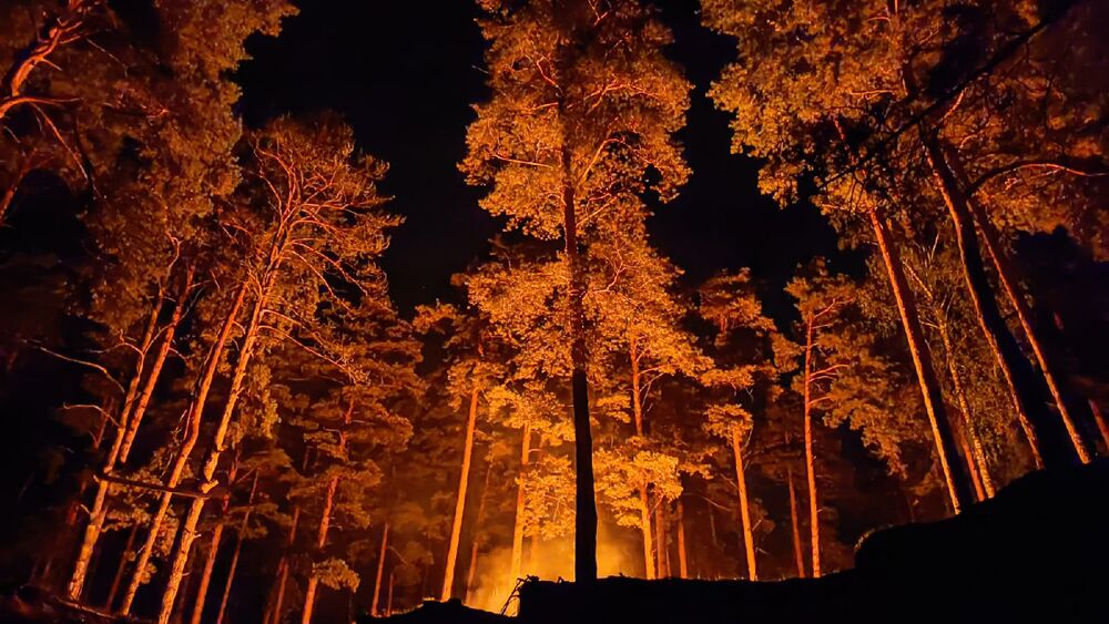 На фотографии члены турклуба сидят ночью у костра